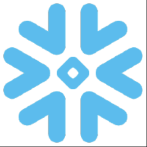 Snowflake Chennai User Group Logo